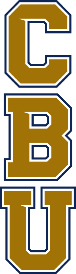 California Baptist Lancers 2017-Pres Wordmark Logo v6 diy iron on heat transfer
